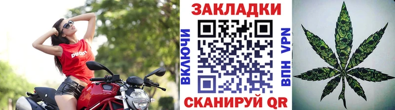 Канабис Могоча