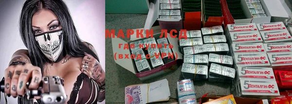 крисы Арсеньев