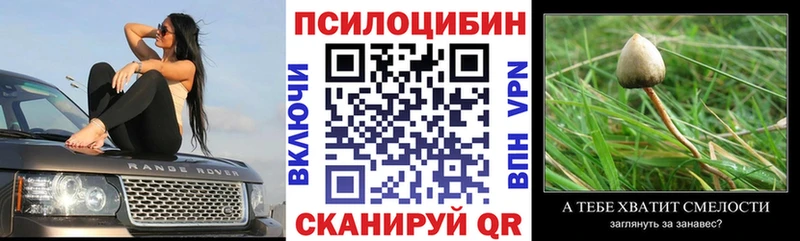 Галлюциногенные грибы мицелий  Могоча 
